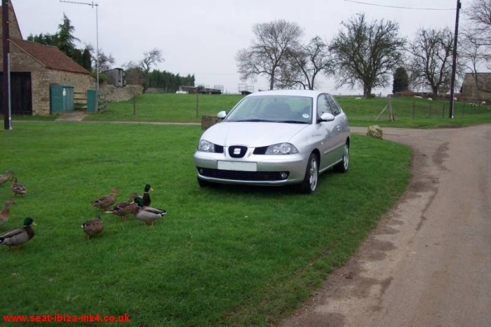 Tom's Silver Seat Ibiza TDI Sport