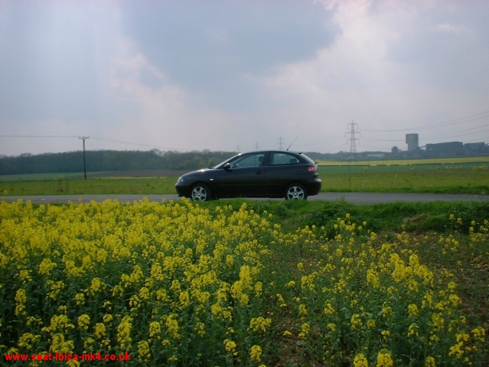 Photo of Black Seat Ibiza 1.2 SX