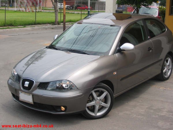 Photo of Platinum Grey Seat Ibiza FR 