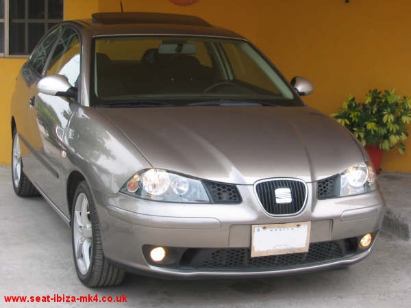 Photo of Platinum Grey Seat Ibiza FR 