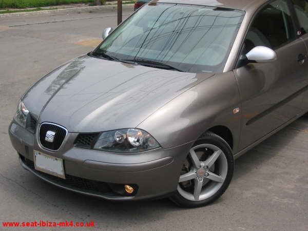 Photo of Platinum Grey Seat Ibiza FR 