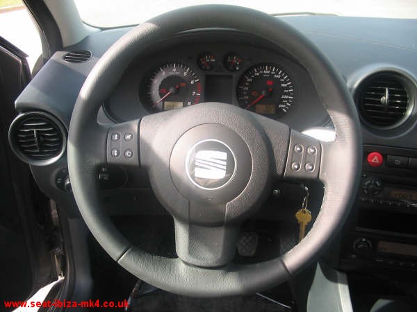 Photo of Platinum Grey Seat Ibiza FR 